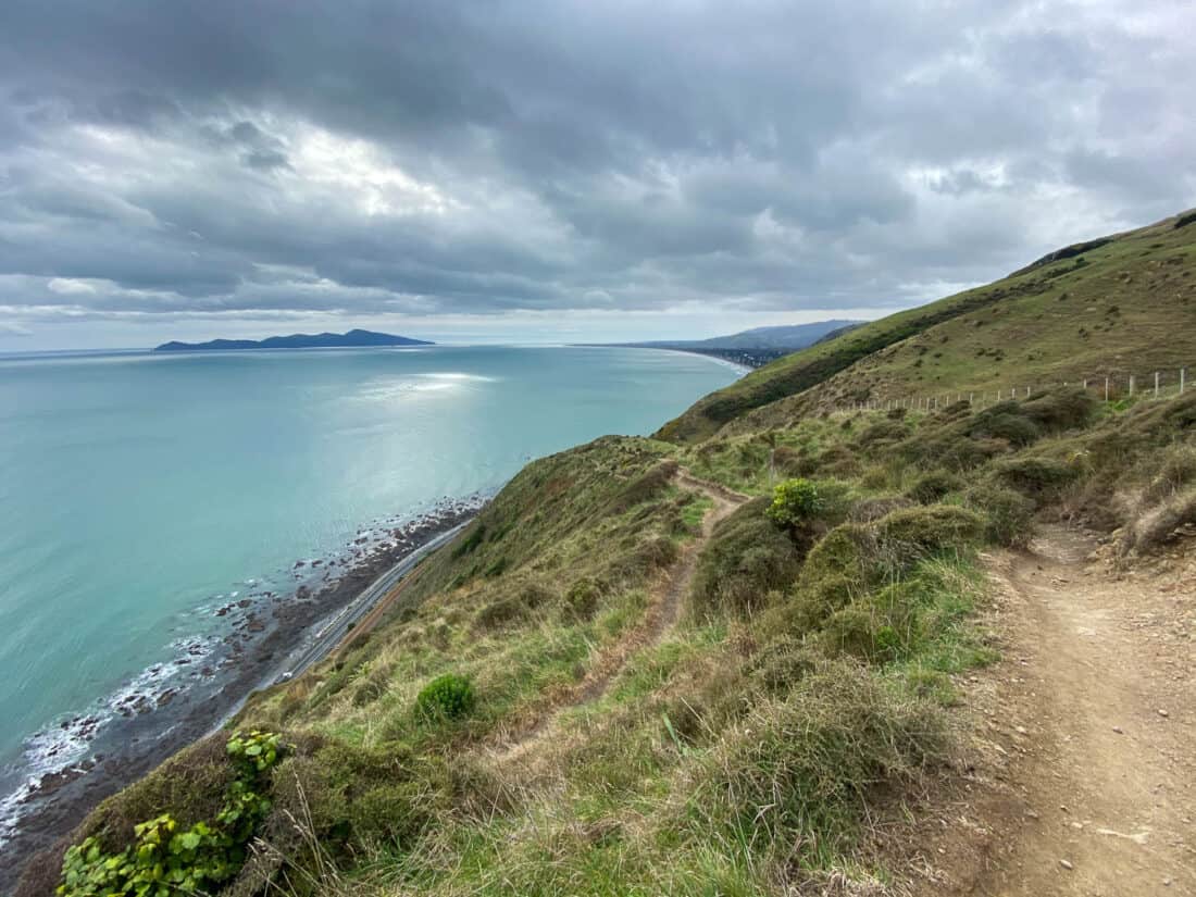 View of Kapiti Island on the Paekakariki Escarpment Track near Wellington