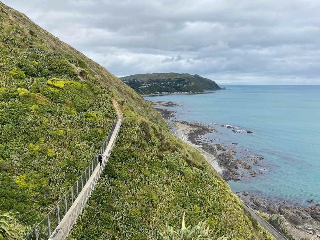 Swing bridge on the Paekakariki Escarpment Track near Wellington