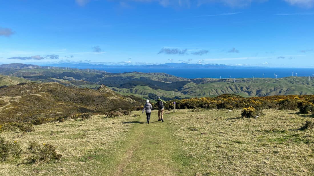 The Skyline Walkway in Wellington, New Zealand