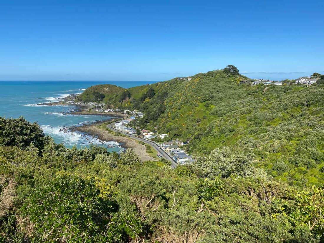 View from the Eastern Walkway, one of the best short Wellington walks