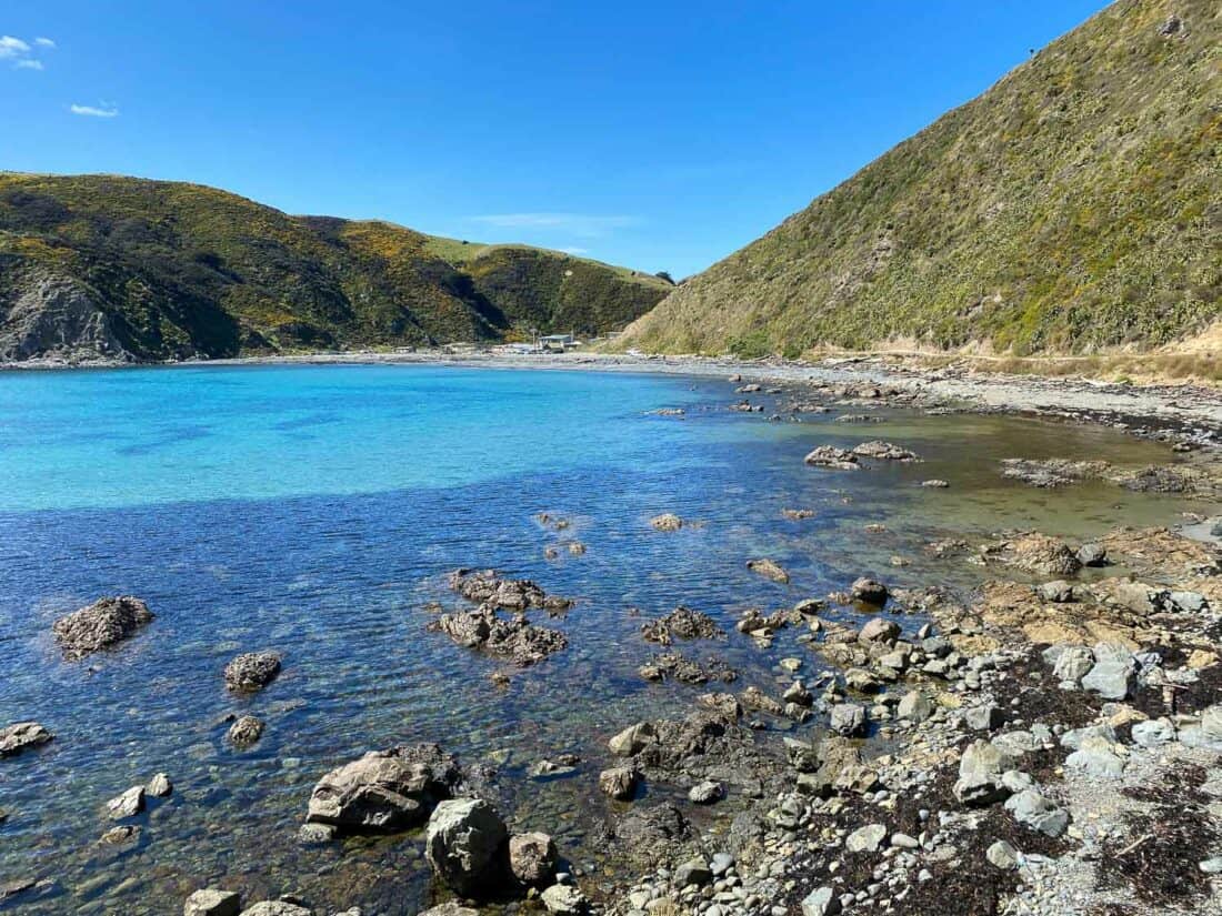 Makara Beach is the starting point of the Makara Beach Walkway, one of the best walks in Wellington New Zealand