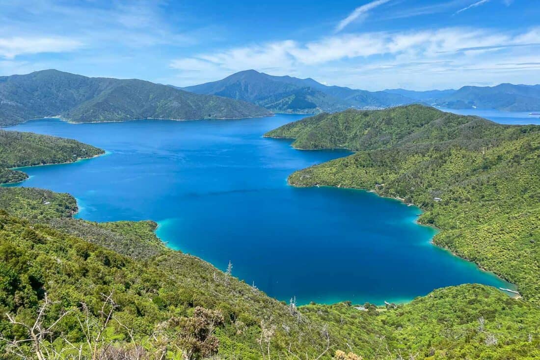 A view on Queen Charlotte Track in the Marlborough Sounds, New Zealand