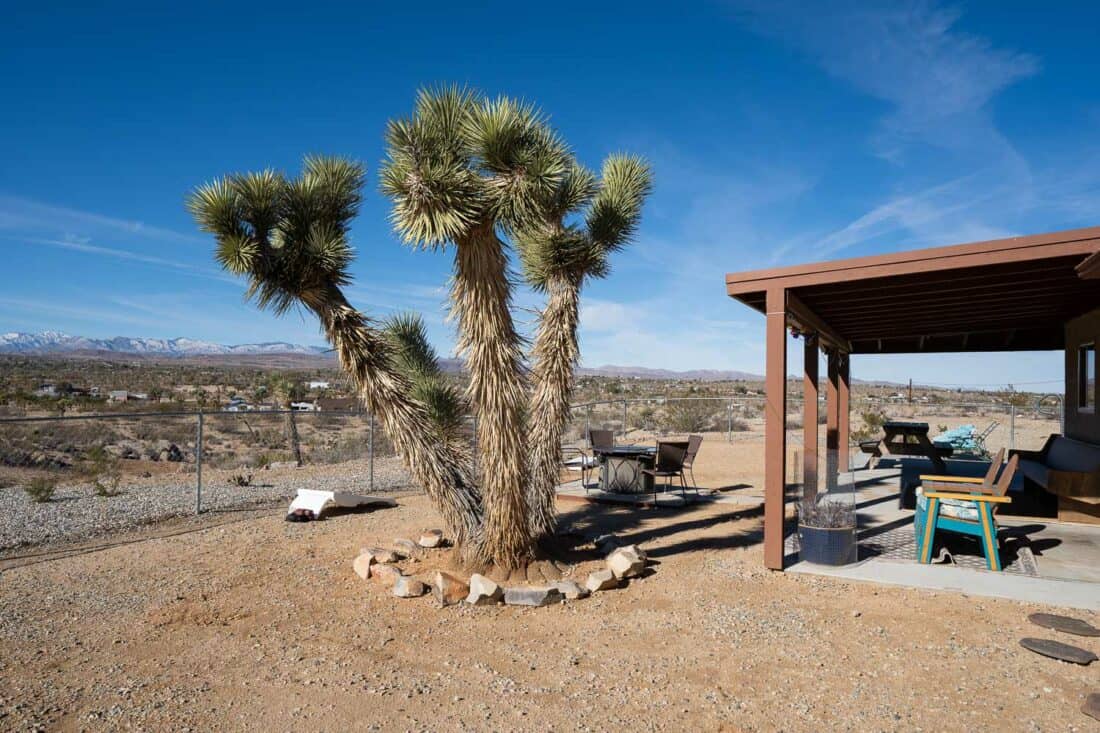 The garden of our vrbo vacation rental in Yucca Valley