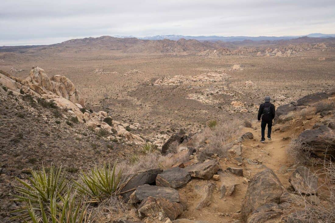 Hiking the Ryan Mountain Trail in Joshua Tree National Park