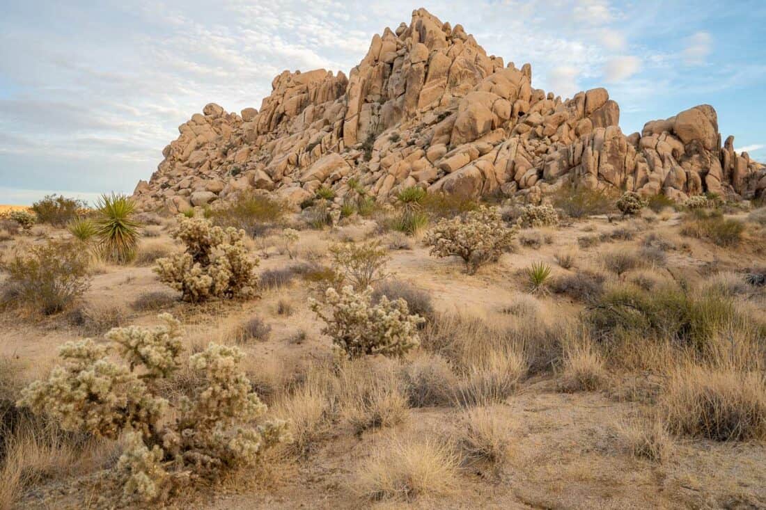 Indian Cove in Joshua Tree National Park