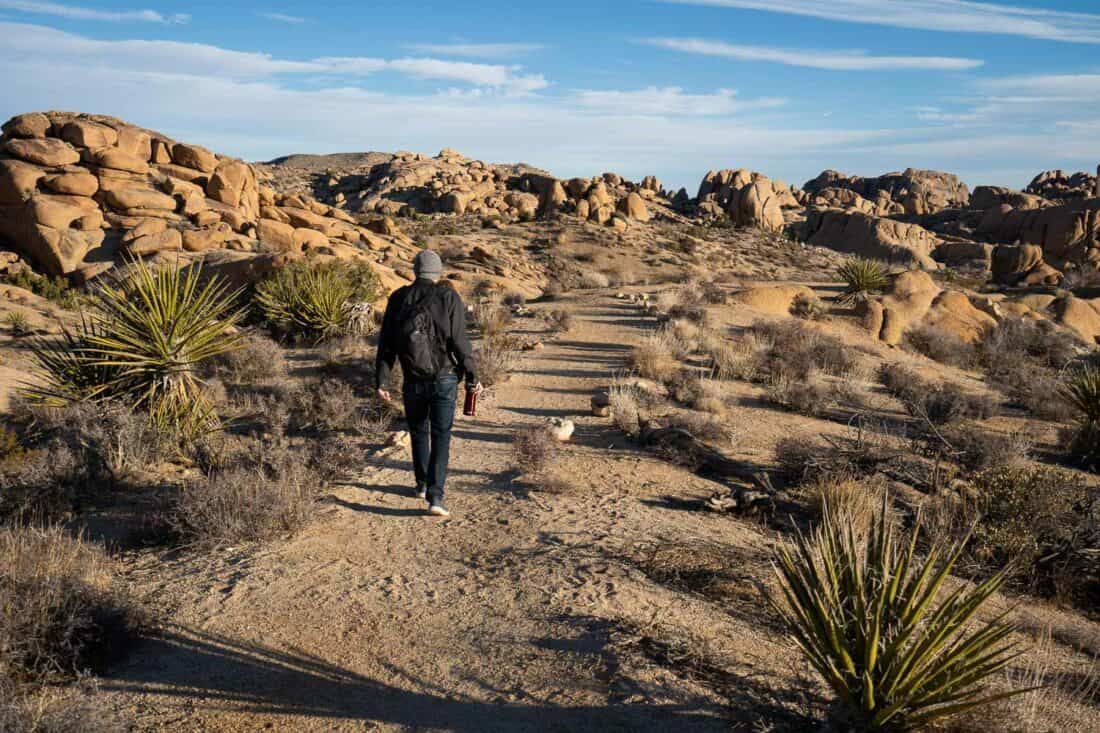 Hiking the Skull Rock Loop Trail in Joshua Tree