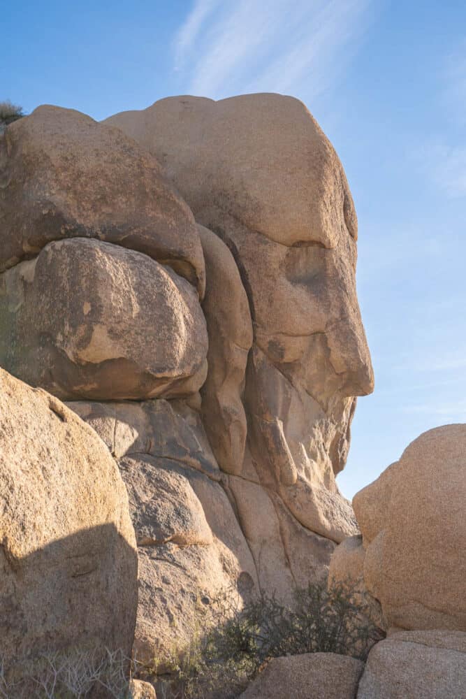 Face Rock on the Discovery Trail in Joshua Tree National Park