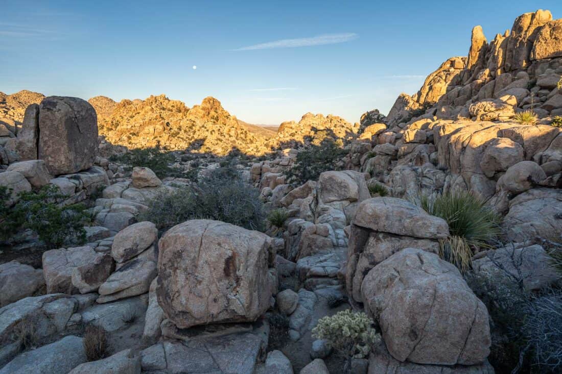 Hidden Valley Nature Trail, one of the best easy hikes in Joshua Tree National Park