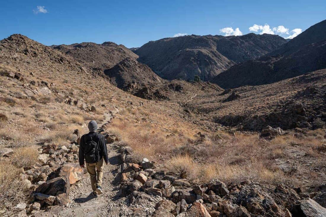 Hiking the Fortynine Palms Oasis trail in Joshua Tree