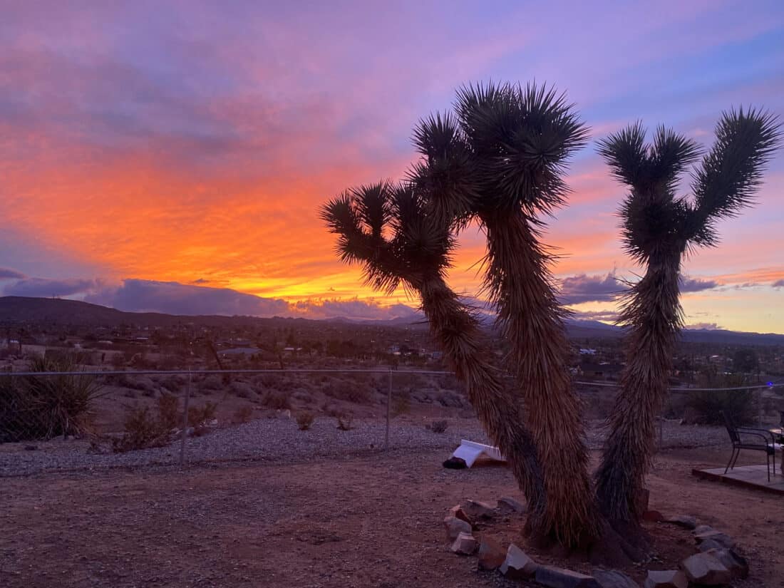 Joshua tree silhouette at sunset at our Yucca Valley vacation rental