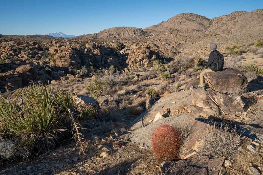 View at end of Pine City trail in Joshua Tree