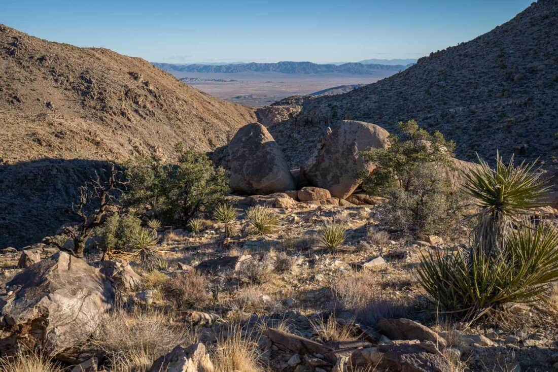 The valley view at the end of hiking the Pine City trail in Joshua Tree