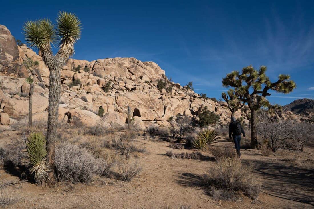 Hiking in Joshua Tree on the Wall Street Mill trail