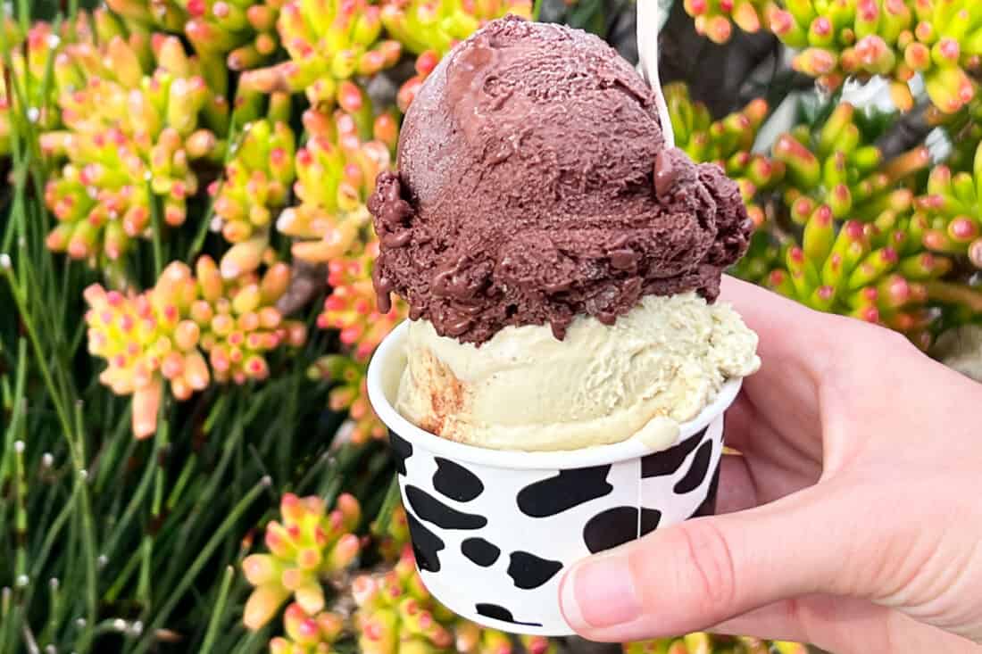 Pistachio and chocolate gelato at Gelato 101, the best ice cream in Encinitas, San Diego, California