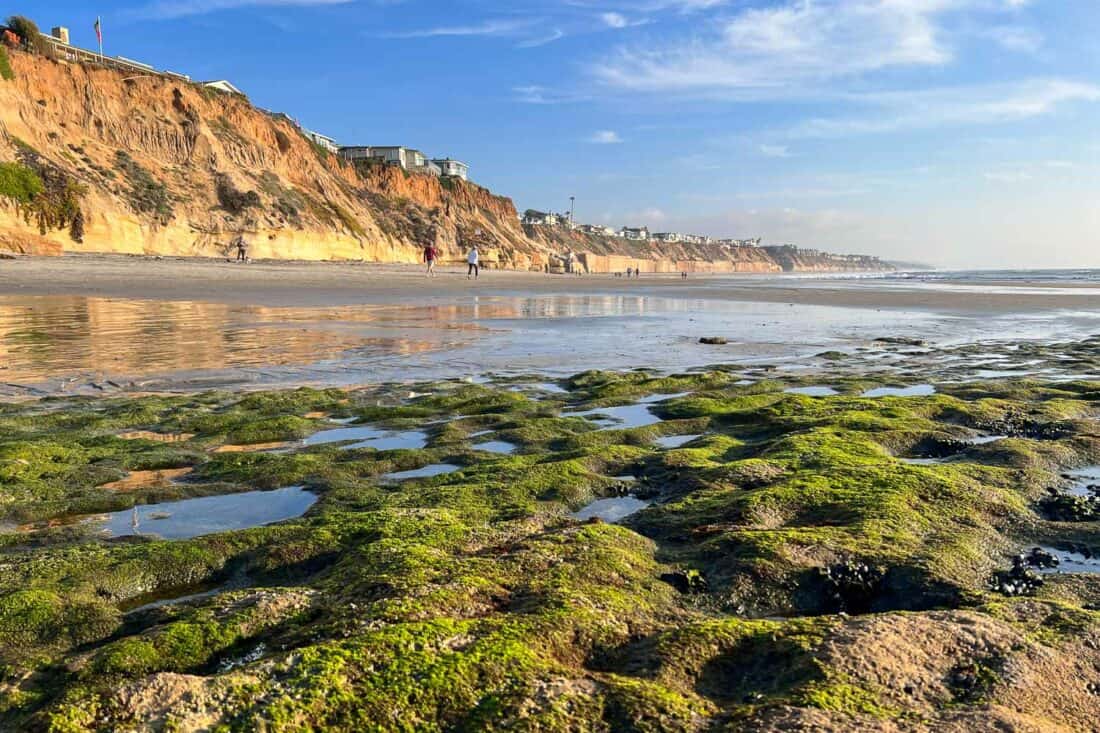 Mossy tide pools in golden light at Tide Beach Park in San Diego