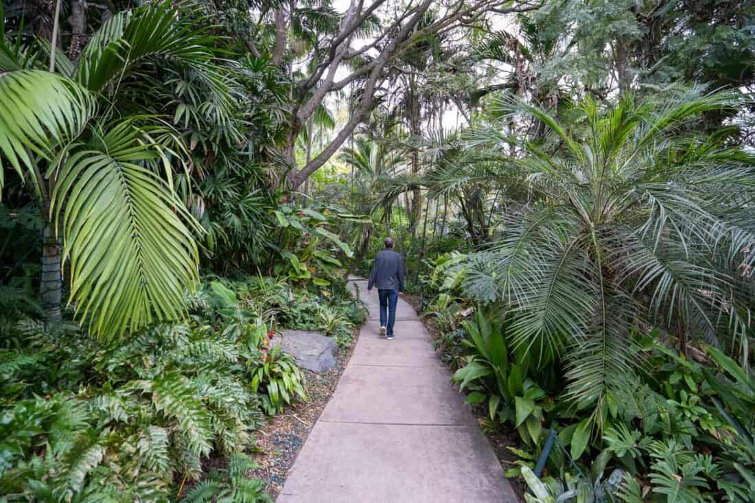 Walking through the tropical rainforest in San Diego Botanic Garden in Encinitas
