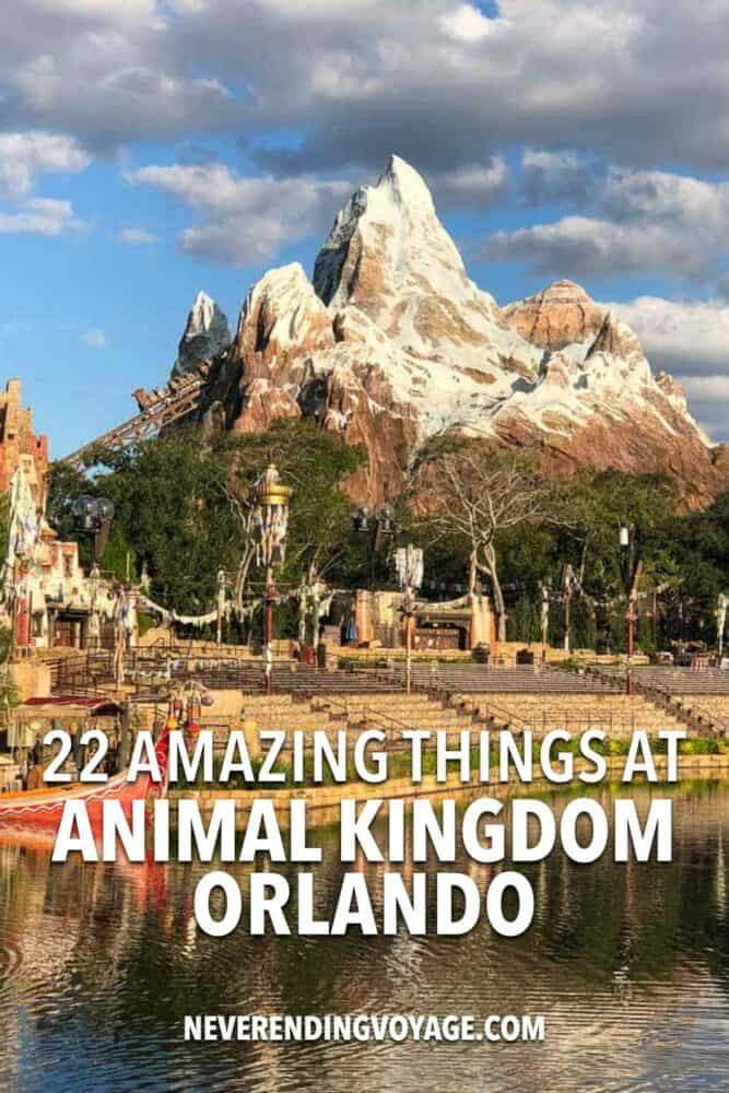 Animal Kingdom Guide Pinterest pin