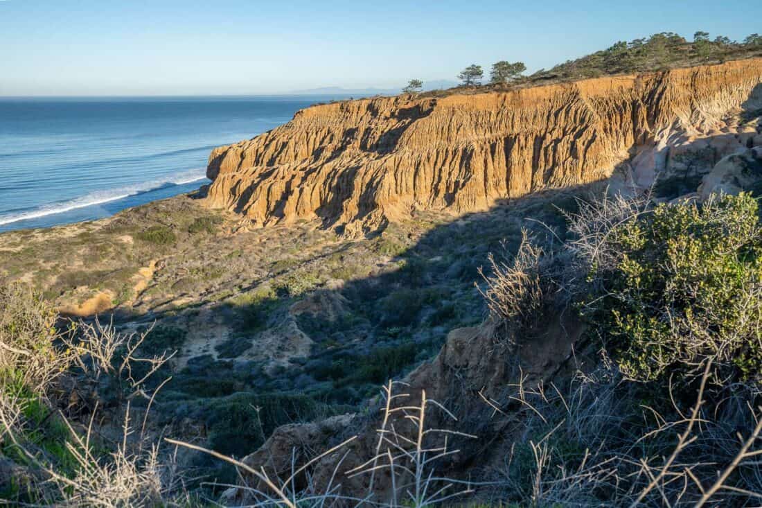 Torrey Pines hiking trails in San Diego