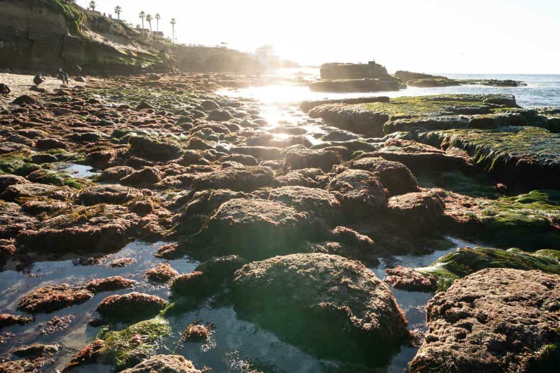 Tide pools at Shell Beach in La Jolla San Diego, California, USA