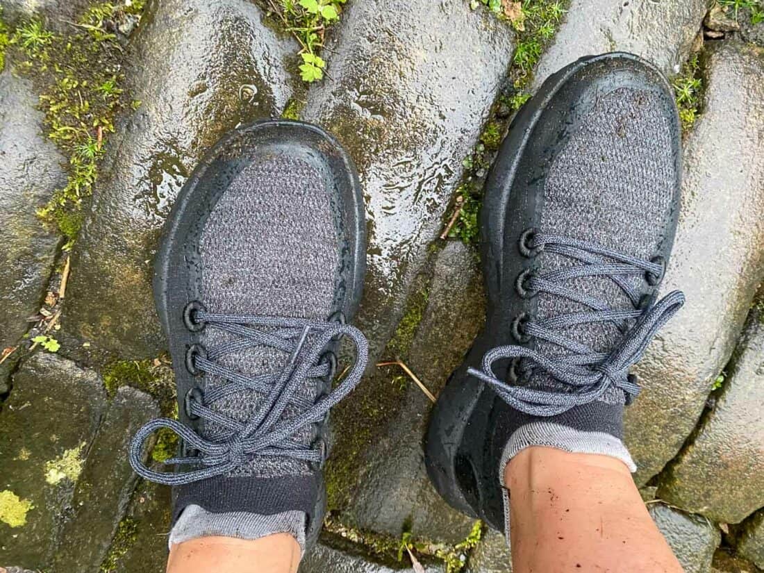 Allbirds SWT shoes in rainy conditions