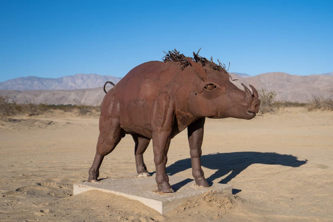 Peccary metal sculpture in Anza Borrego, California