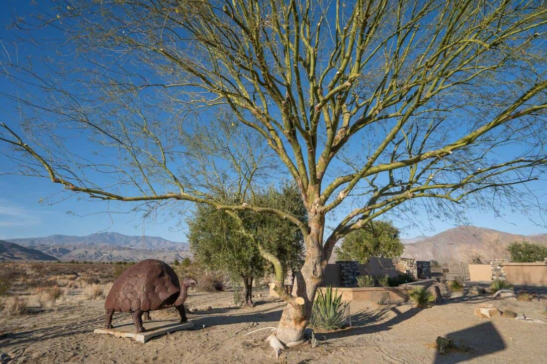 Giant tortoise sculpture under a palo verde tree in Borrego Springs, California, USA