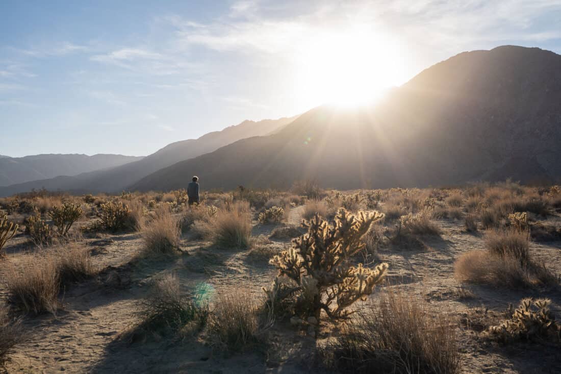 Simon walking across desert to see Borrego Springs sculptures