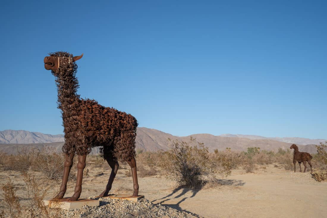 Llama sculpture in Galleta Meadows California