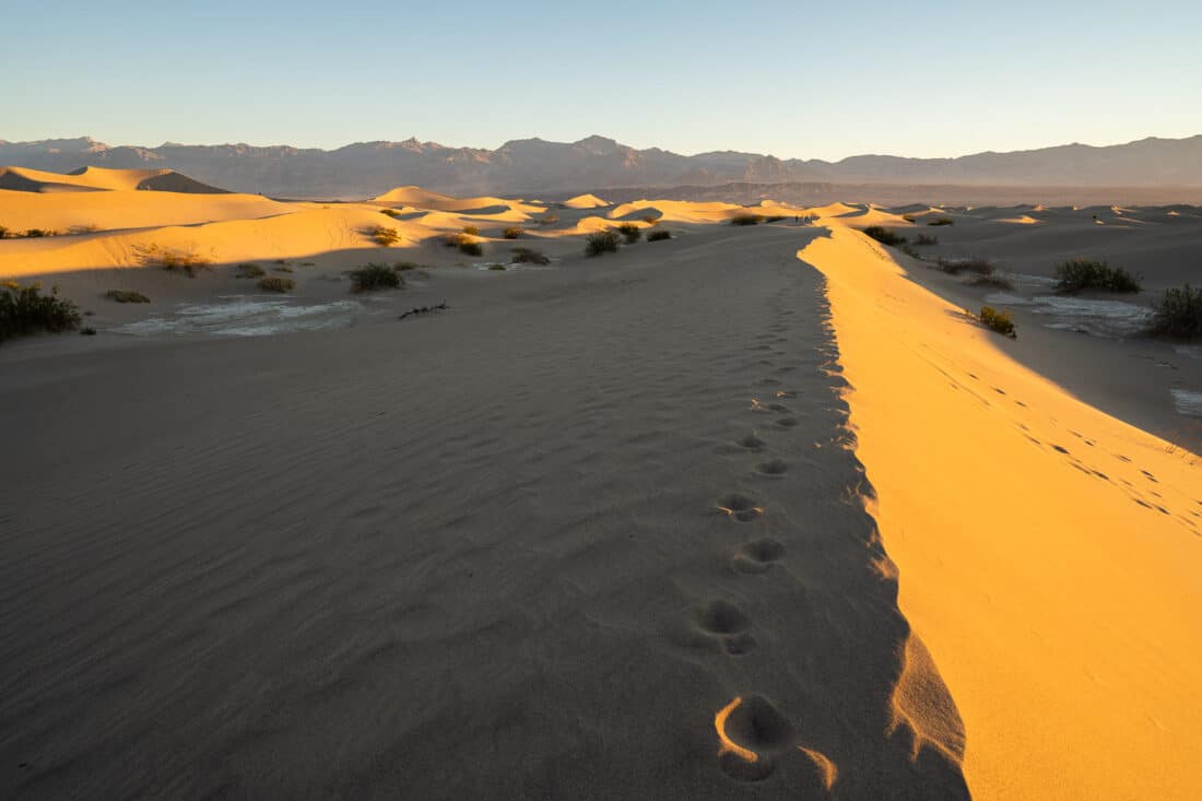Mesquite Flat sand dunes, Death Valley