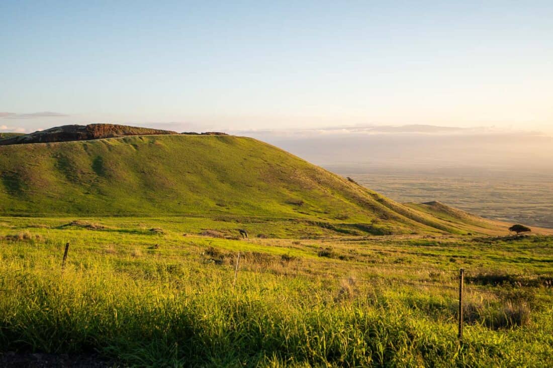 Green hills on the Kohala Mountain Rd on the Big Island Hawaii, USA