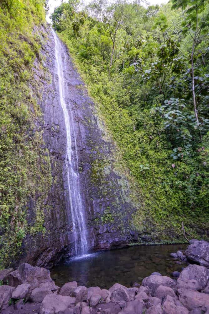Manoa Falls waterfall in Oahu, Hawaii