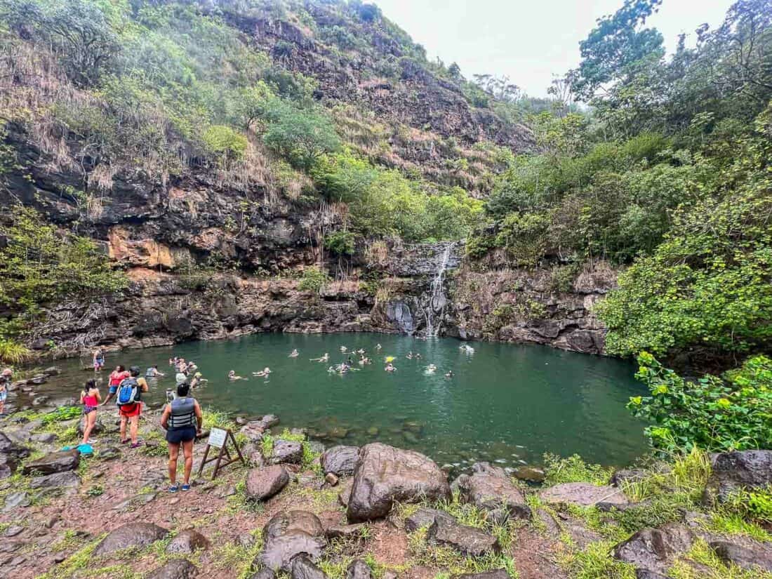 Swimmers in Waimea Valley waterfall on Oahu North Shore