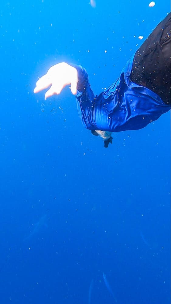 Simon on a shark swim in Haleiwa North Shore Oahu, Hawaii, USA