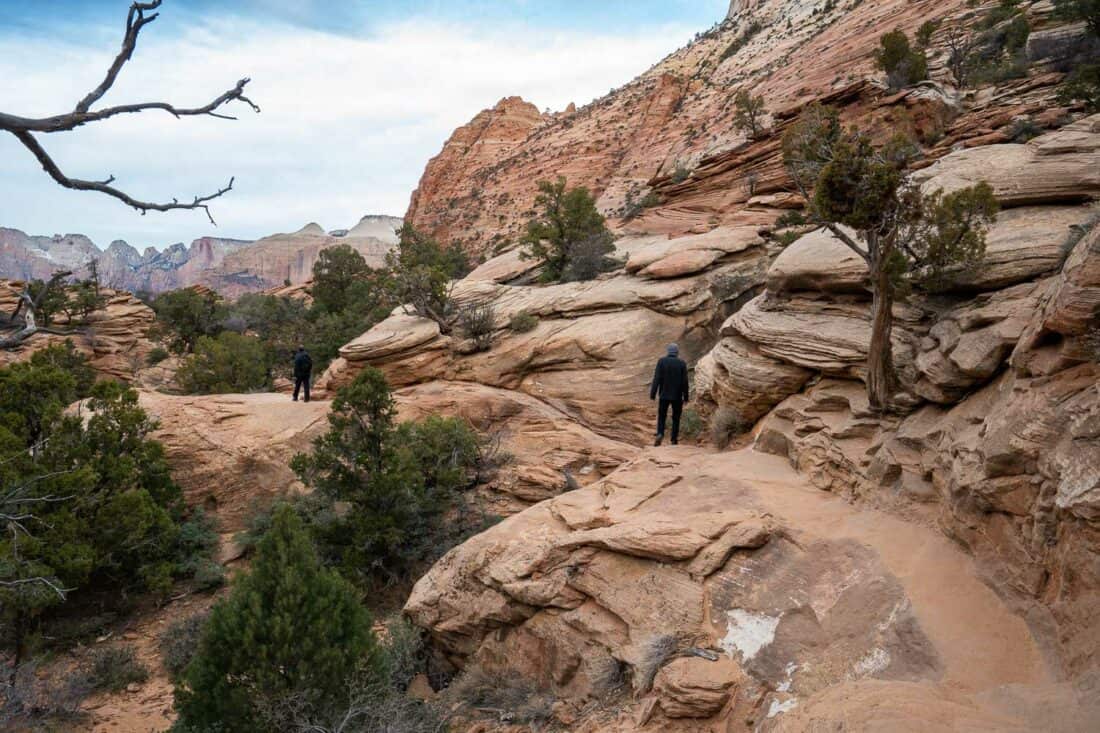 Simon walking along the Canyon Overlook path along pink cliff edges and trees growing out of the rocks, Zion National Park, Utah, USA