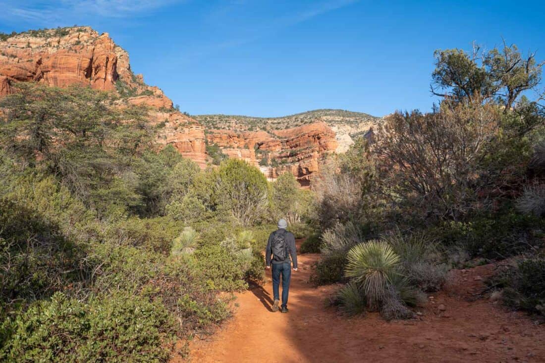 Simon at the start of the Fay Canyon Trail in Sedona with red sandstone cliffs and spiky green foilage, Sedona, Arizona, USA