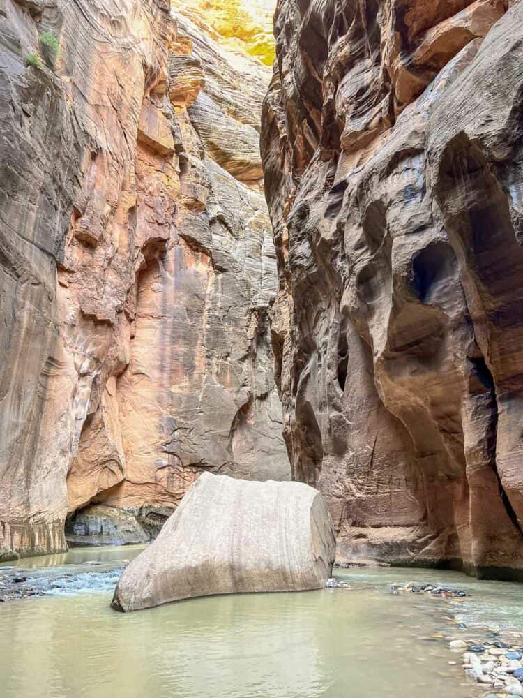 Floating rock at Wall Street, The Narrows, Zion National Park, Utah, USA