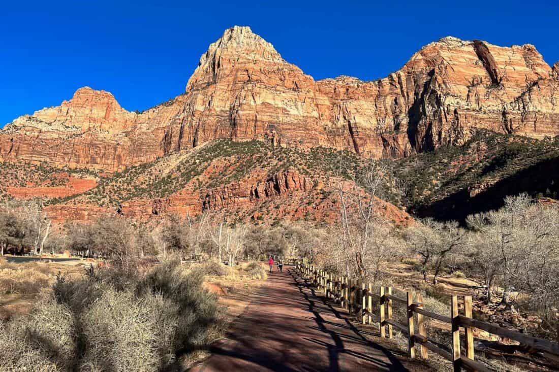 People walking along the paved Pa'rus Trail with a backdrop of pink cliffs and clear blue sky in Zion National Park