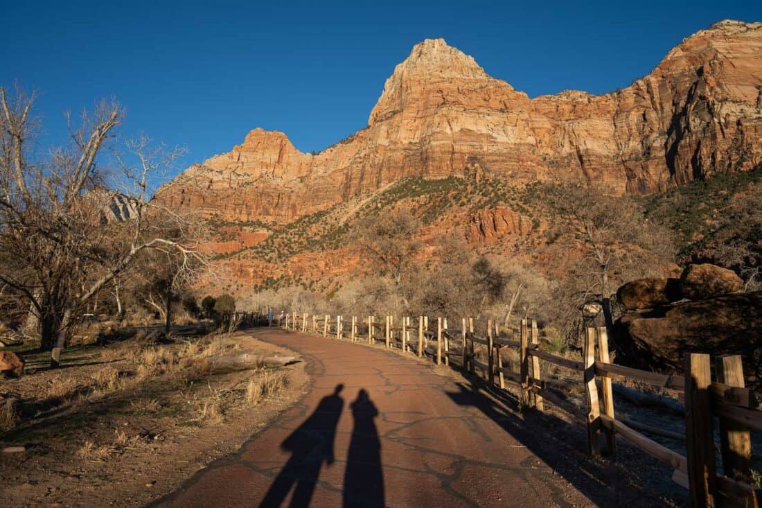 Shadows on the paved Pa'rus Trail between trees and a river overlooked by pink cliffs in Zion National Park