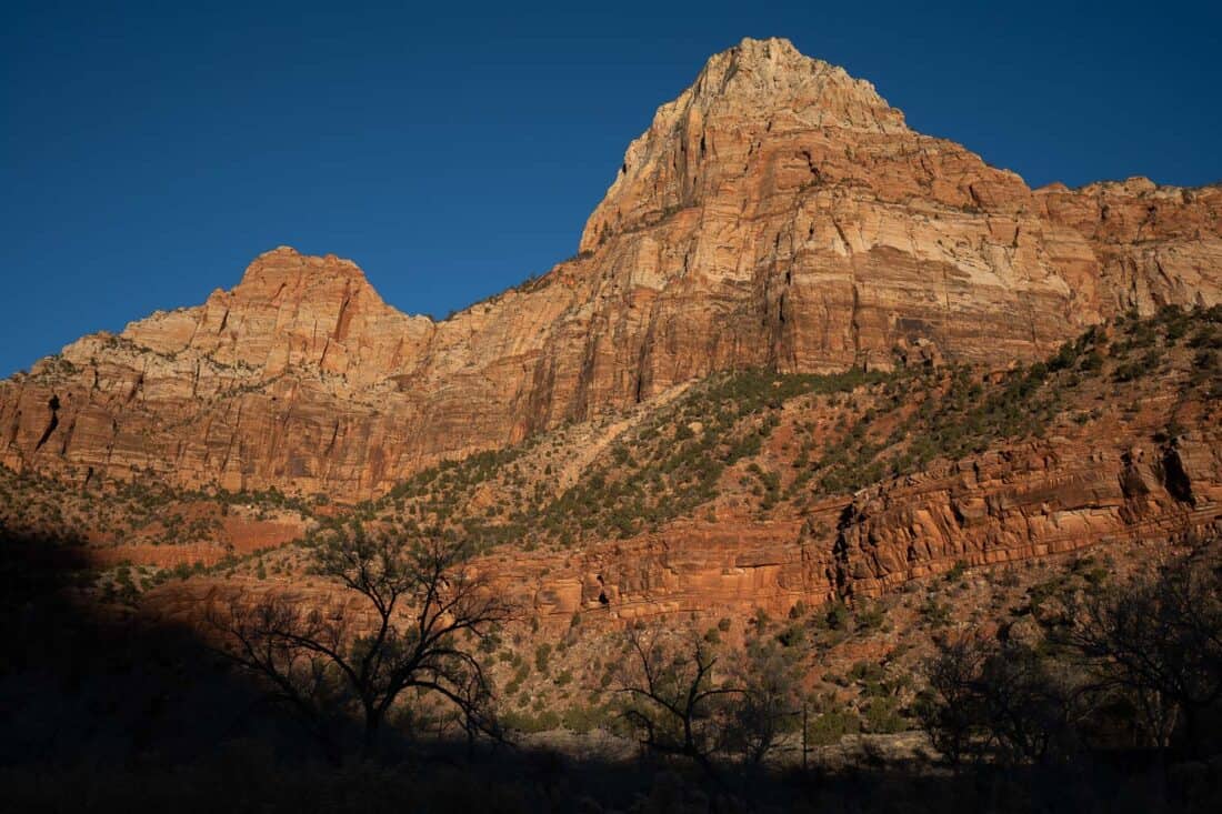 Red sandstone cliffs with trees in shadow and a deep blue sky along the Pa'rus trail, Zion National Park, Utah, USA