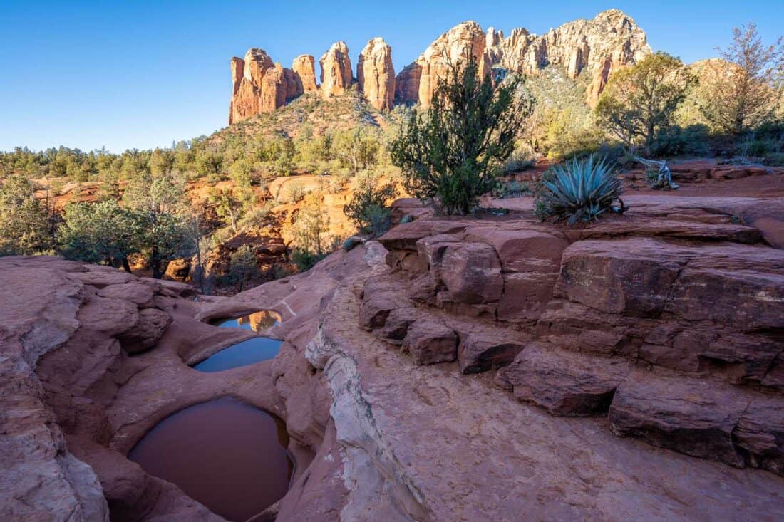 Small Seven Sacred Pools in Sedona formed in red rocky crevices, with Coffeepot Rock in the distance and spiky green plants, Sedona, Arizona, USA