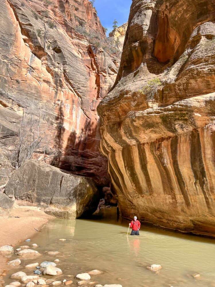 Simon at the sunny beach along The Narrows, Zion National Park, Utah, USA