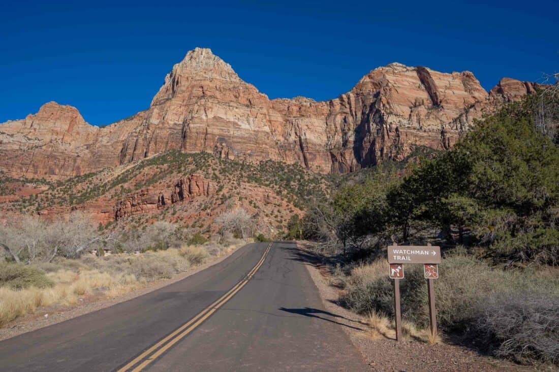 A road through Zion National Park, Utah, an essential stop on a Southwest road trip itinerary.