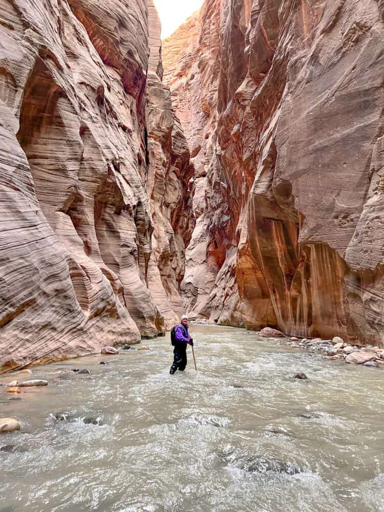 Erin with Wall Street cliffs towering over her, The Narrows, Zion National Park, Utah, USA