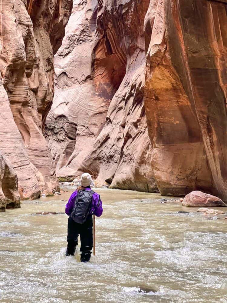 Erin admiring the red sandstone walls, The Narrows, Zion National Park, Utah, USA