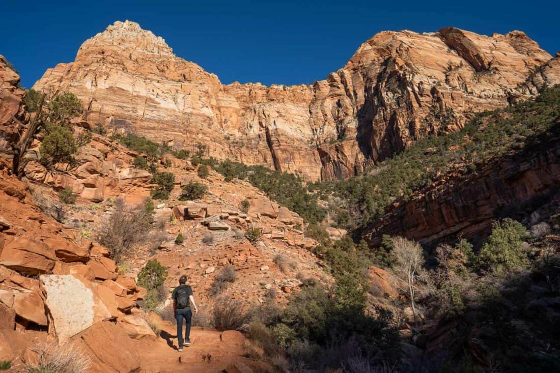 Simon hiking up the pink cliffs of the Watchman Trail in Zion National Park