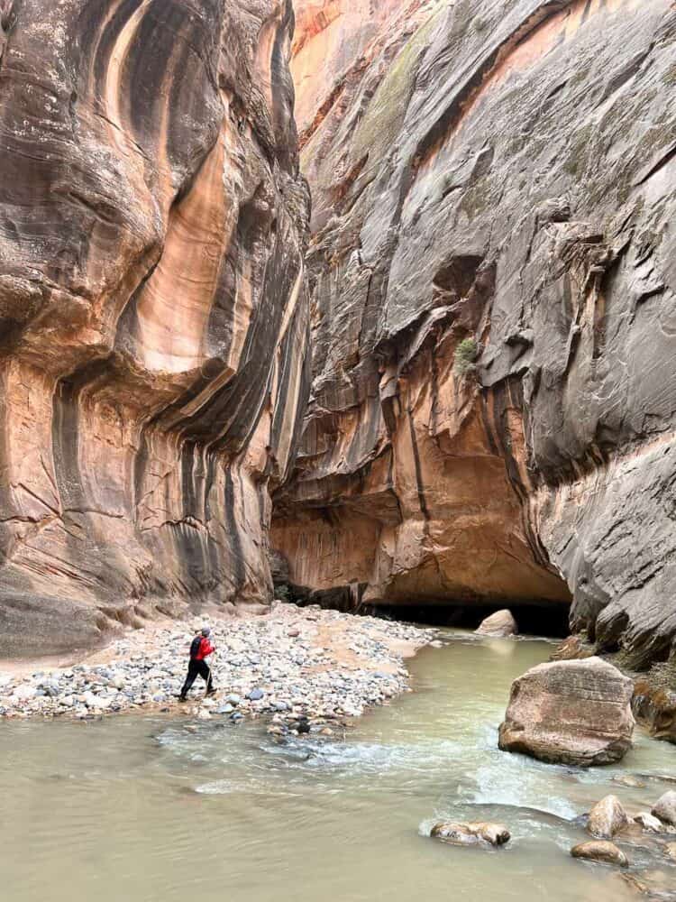 Simon beneath towering red sandstone cliffs, The Narrows, Zion National Park, Utah, USA