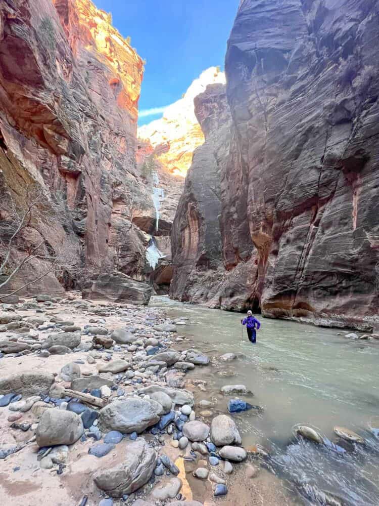 Erin hiking knee deep in the river along The Narrows trail with tall sandstone cliffs.