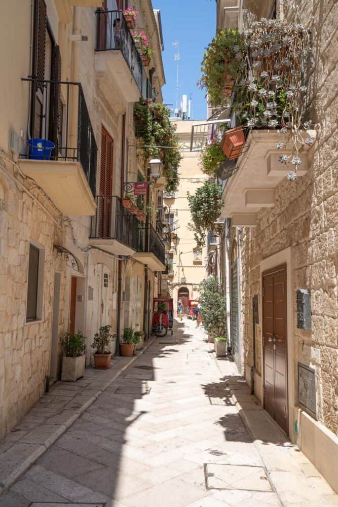 Narrow street in Bari Vecchia with balconies lined with potted plants, Puglia, Italy