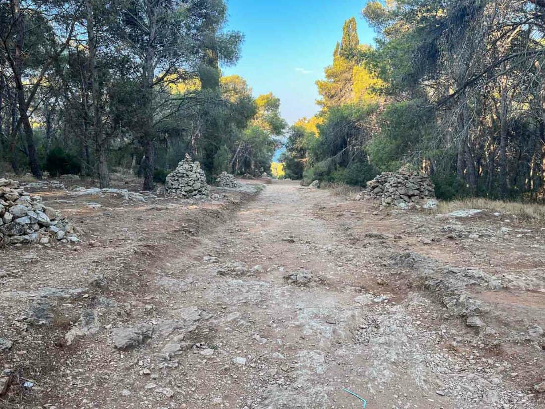 Gravelly downhill path through the pine trees to Porto Selvaggio beach, Italy