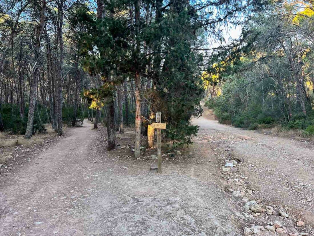 Wooden sign along woodland path pointing towards Porto Sevaggio beach, Italy